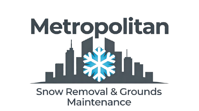 snow logo